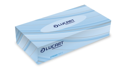 Mouchoirs Strong 100V 40 boites de 100 mouchoirs 2 plis blanc - LUCART (36)